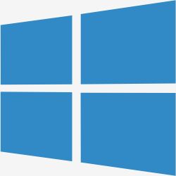 Système d'exploitation Windows 11 Professionnel  avec licence - Anglais
